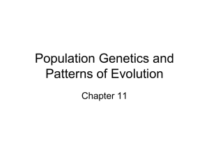 Population Genetics Power Point