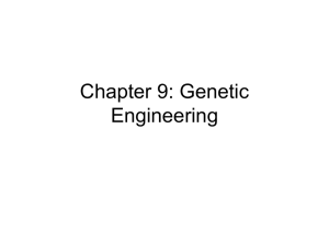 Genetic Engineering Power Point