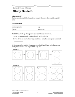 6.6 meiosis and genetic variation study guide