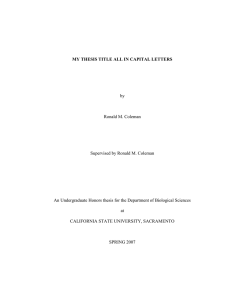 Word document with a basic Honors thesis template