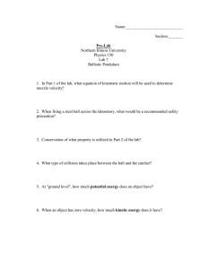 Worksheet 7