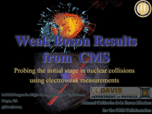 Weak Boson Results from  CMS using electroweak measurements