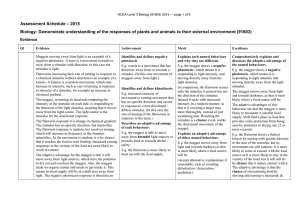 – 2015 Assessment Schedule