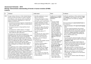 – 2015 Assessment Schedule