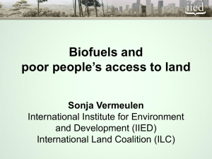 Biofuels and poor people’s access to land Sonja Vermeulen International Institute for Environment