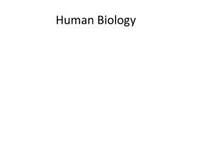 1human biology.ppt
