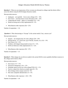 Budget Allocation Model Survey Themes