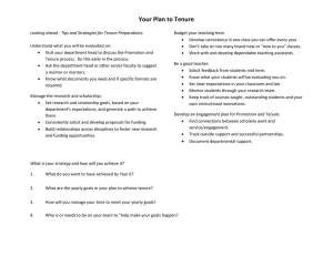 Your Plan to Tenure Document