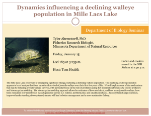 Dynamics influencing a declining walleye population in Mille Lacs Lake