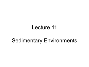 Lecture 11: Sedimentary Environments