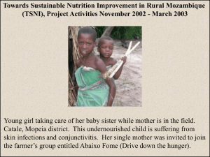 Towards Sustainable Nutrition Improvement in Rural Mozambique