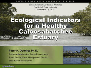 Ecological Indicators for a Healthy Caloosahatchee Estuary