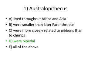 1) Australopithecus