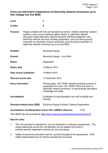 Carry out short-term inspections of electricity network structures up to