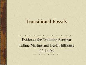 Fossil record I: Transitional fossils
