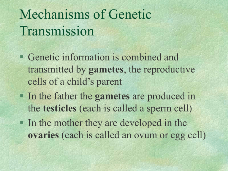 Mechanisms of Transmission