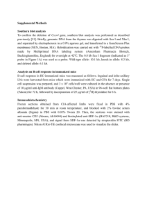Supplemental Methods Southern blot analysis  Cxcr4