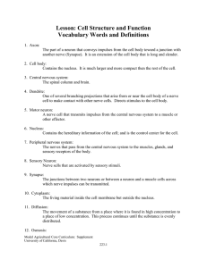 Lesson: Cell Structure and Function Vocabulary Words and Definitions