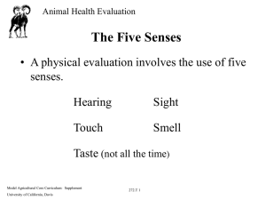 The Five Senses senses. Hearing