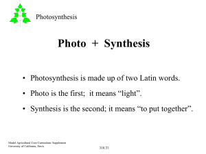 Photo  +  Synthesis