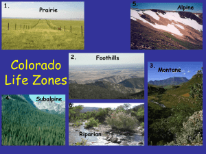 Life Zones presentation