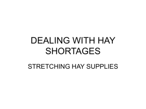 Dealing with Hay Shortages.ppt