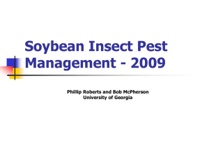 Soybean Insect Pest Management - 2009