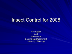 2008 County Meeting Insect Update