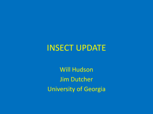 2012 County Meetings Insect Update