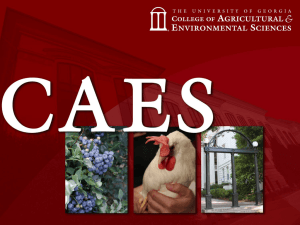 CAES overview - 2013