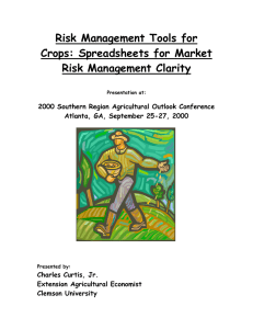 Risk Management Tools for Crops: Spreadsheets for Market Risk Management Clarity