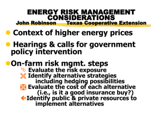 Energy Risk Management Considerations