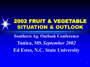 2002 Fruit and Vegetable Situation and Outook