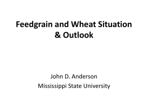 Feedgrain and Wheat Situation &amp; Outlook John D. Anderson Mississippi State University
