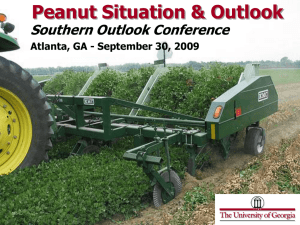 Peanut Situation &amp; Outlook Southern Outlook Conference