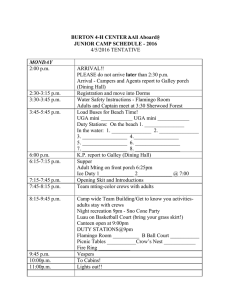 Tentative Junior Camp 2016 Schedule