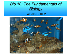 Bio 10: The Fundamentals of Biology Fall 2005 - 1082