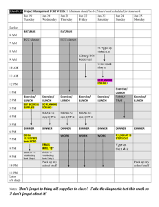 Weekly Project Management Sheets