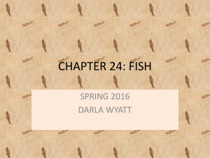 ch. 24 fish notes