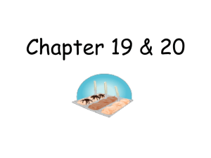 Chapter 19 and 20