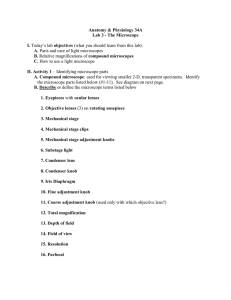 Lab 3 Microscopy