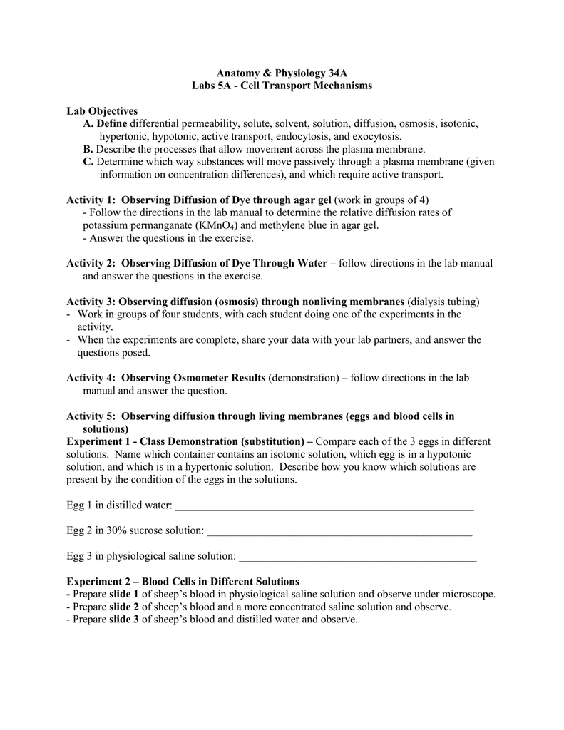 Lab 5a Cell Transport