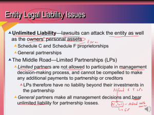Entity Legal Liability Issues