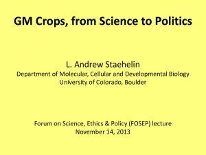 GM Crops - from Science to Politics Nov. 2013 (Powerpoint Slides)