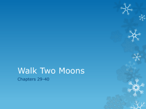 Walk Two Moons Chapters 29-40 Activities