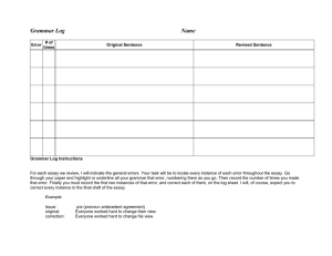 Grammar Errors Log.doc