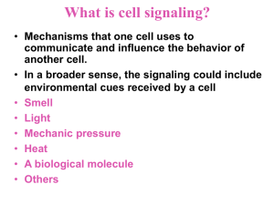 What is cell signaling? Mechanisms that one cell uses to