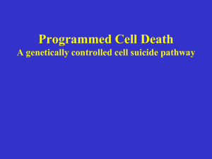 Programmed Cell Death A genetically controlled cell suicide pathway