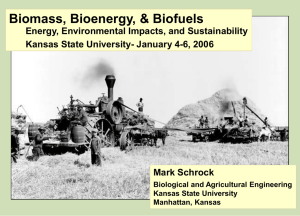 Biomass, Bioenergy, &amp; Biofuels