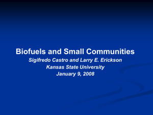 Biofuels and Small Communities Sigifredo Castro and Larry E. Erickson